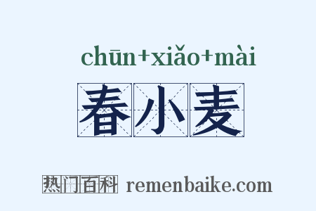 春小麦是什么意思的图片